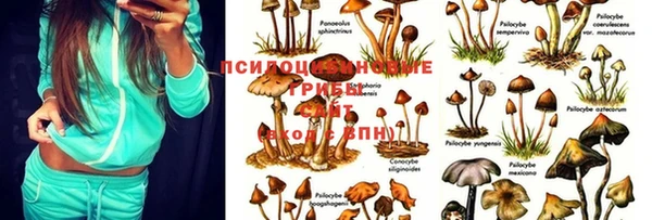мескалин Лихославль
